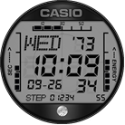 Casio Grey Digital